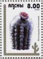 PILOSOCEREUS (ПИЛОЗОЦЕРЕУС) 3 PILOSOCEREUS (ПИЛОЗОЦЕРЕУС) | 3