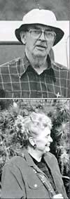MAMMILLARIA NANA, НОВЫЙ ВЗГЛЯД 1 MAMMILLARIA NANA, НОВЫЙ ВЗГЛЯД | 1