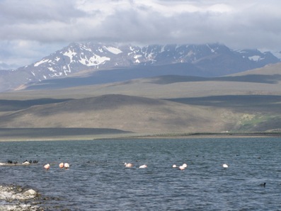 Laguna Blanca. Горы, утки, фламинго... Laguna Blanca. Горы, утки, фламинго...