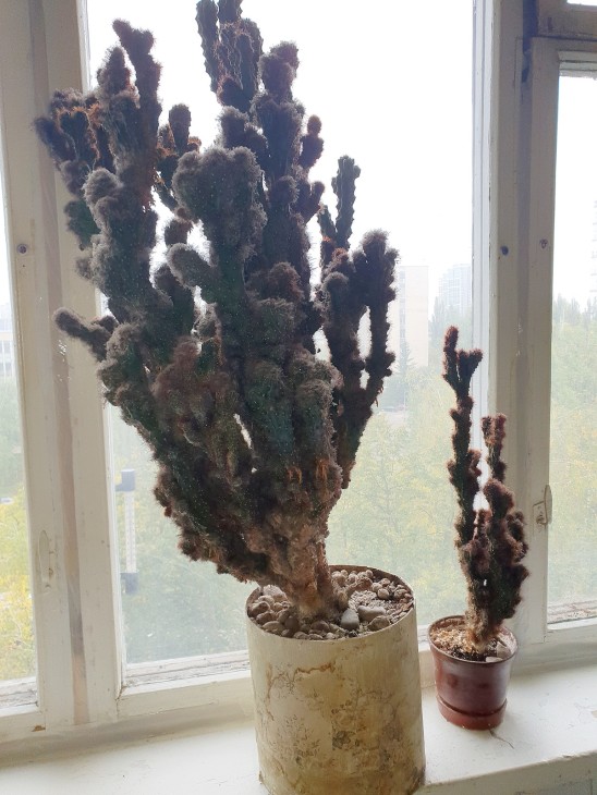 20220928_112709.jpg
