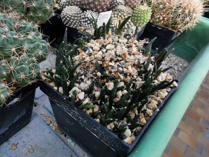 Image00001.jpg