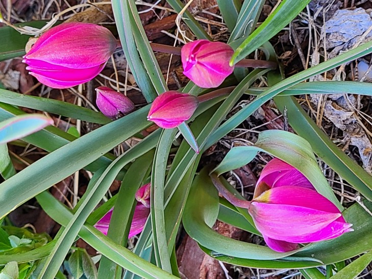 20240327_162244.jpg