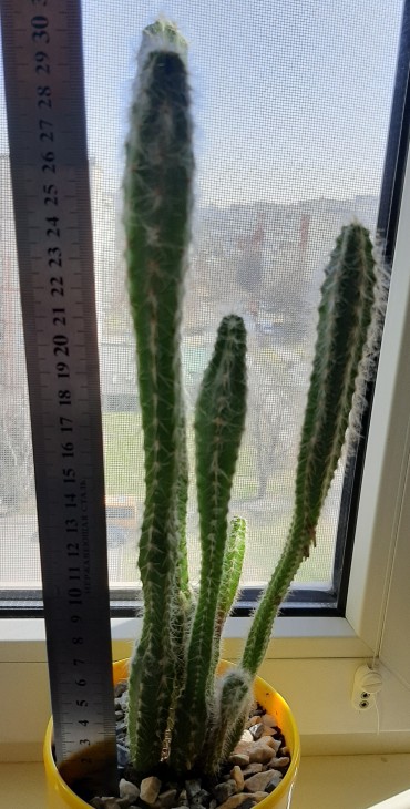 20240328_102647.jpg
