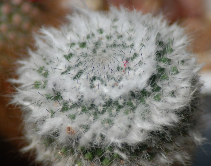 DSC_5519.jpg