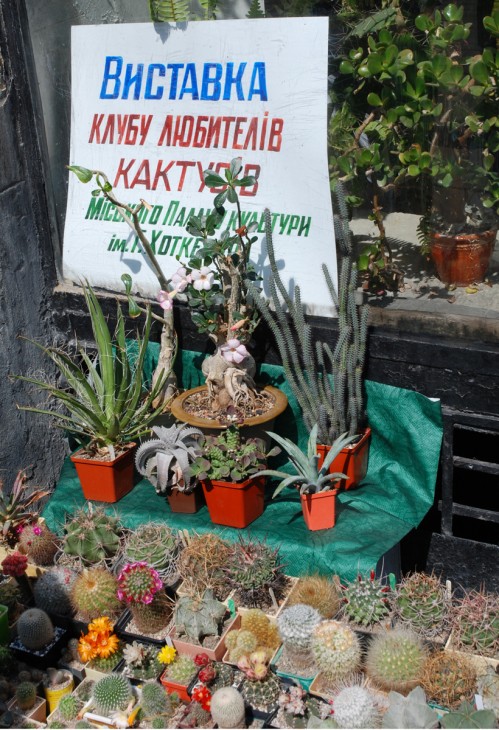 DSC_1039.jpg