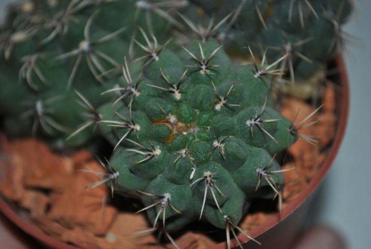 DSC_1709.JPG