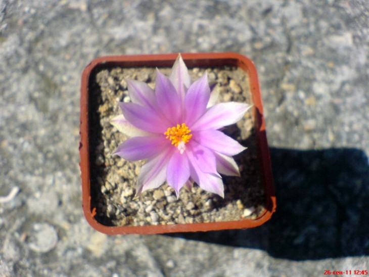 DSC00941-2.jpg