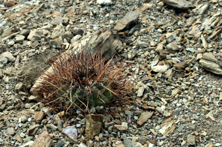 20100331194953_vos_373_004.jpg