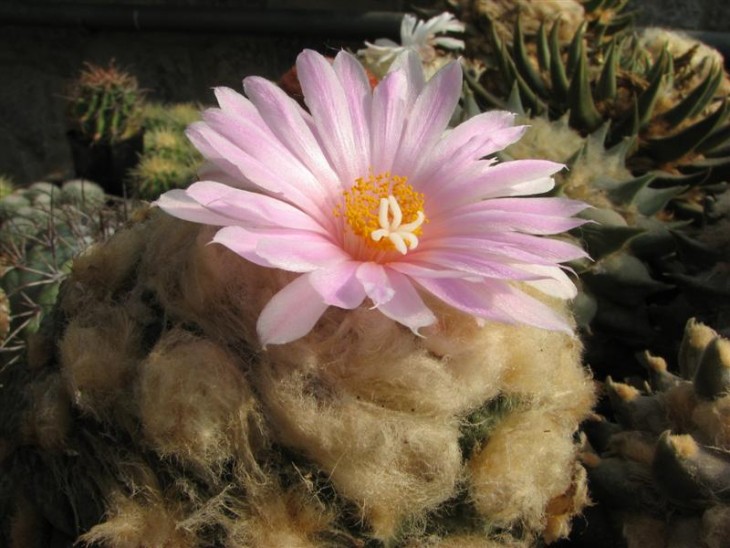 11 10 11 023 (Medium).jpg