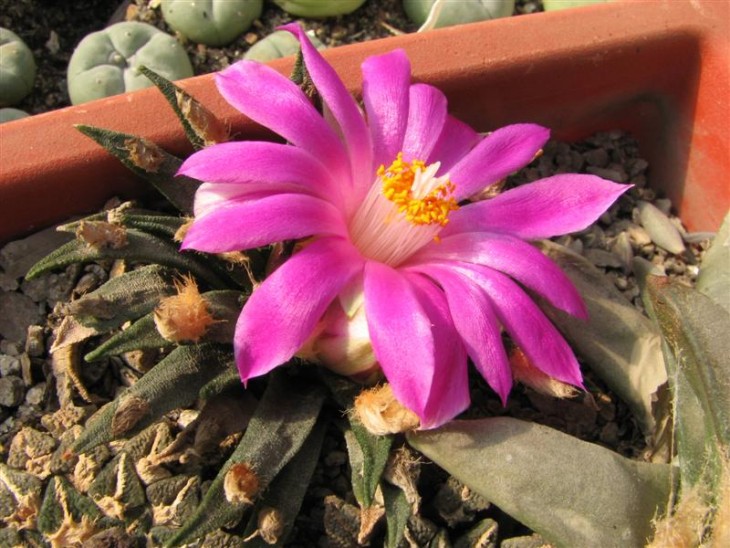 11 10 11 028 (Medium).jpg