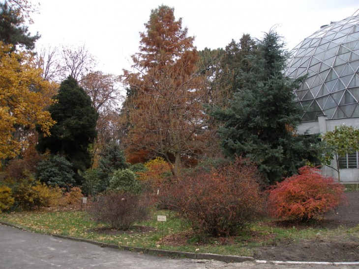 P2050283.JPG