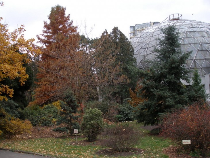 P2050282.JPG