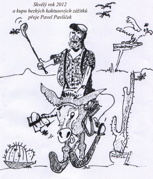 pf2012 pp.jpg