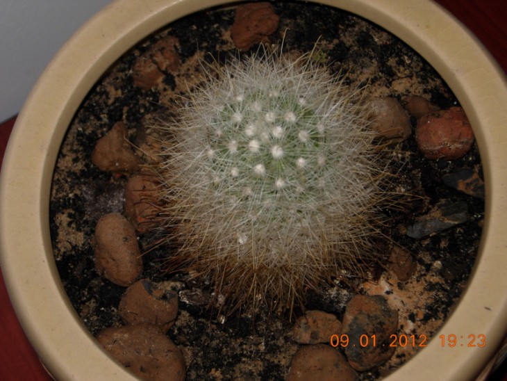 DSCN1583.JPG