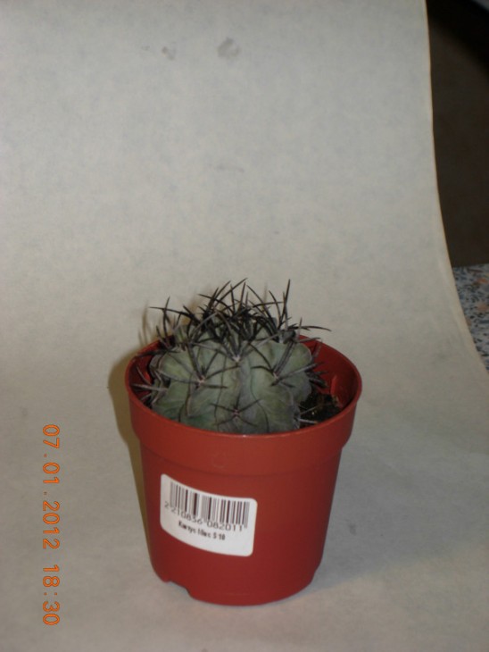 DSCN1573.JPG