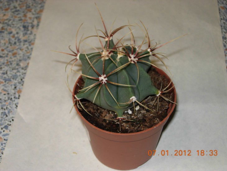 DSCN1576.JPG