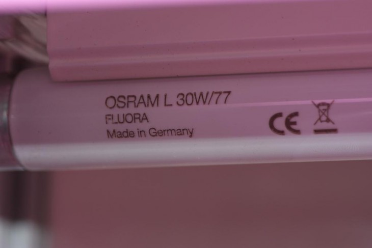 lamp type.jpg