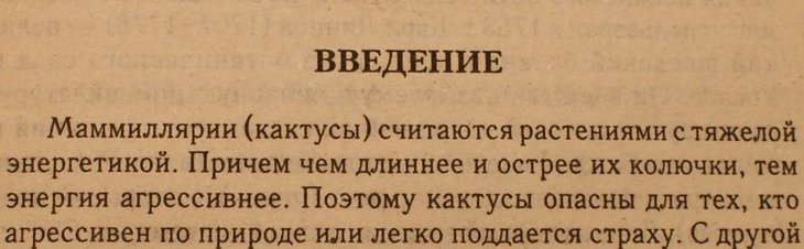 маммиллярия1.jpg