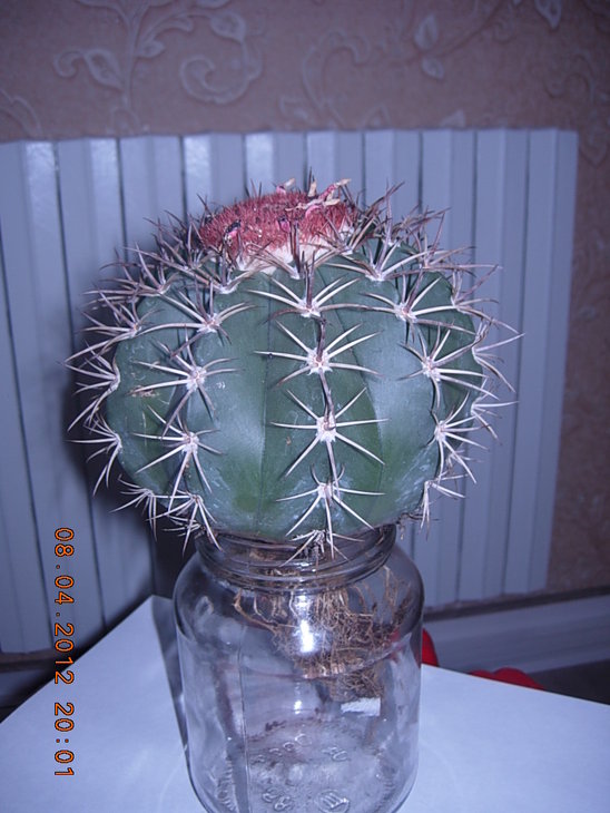 DSCN2366.JPG
