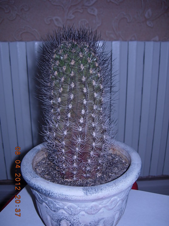 DSCN2368.JPG