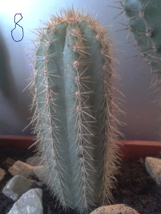 2012-03-04 15.27.17.jpg