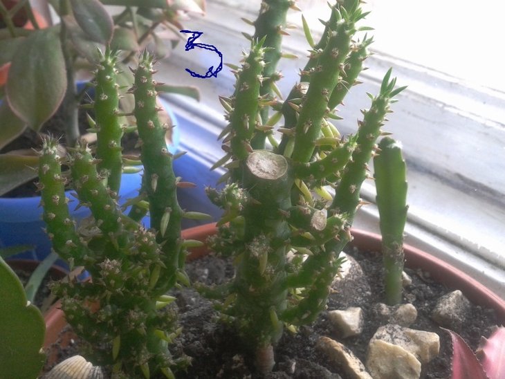 2012-03-25 10.34.20.jpg