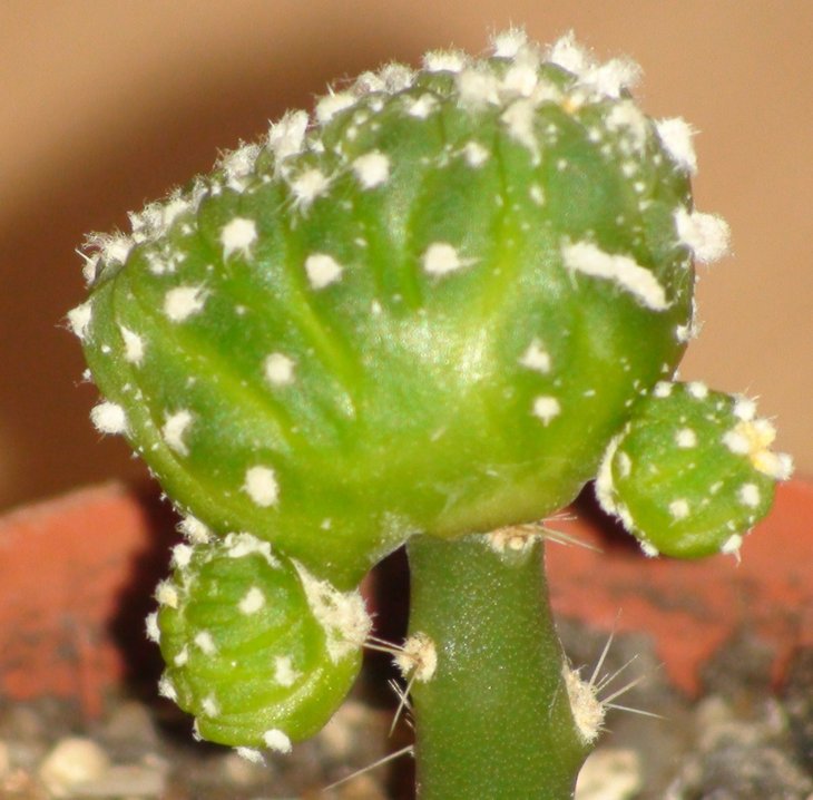 DSC05520.jpg