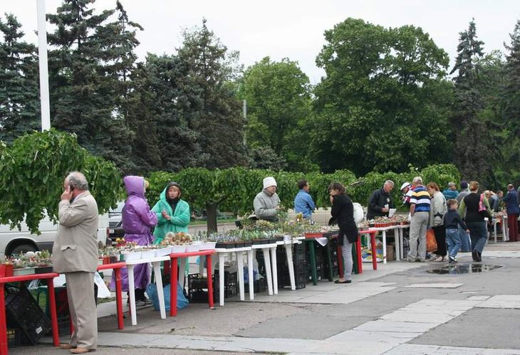 vistavka 25 may1.JPG