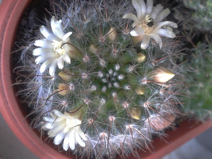 2012-03-22 08.20.12.jpg