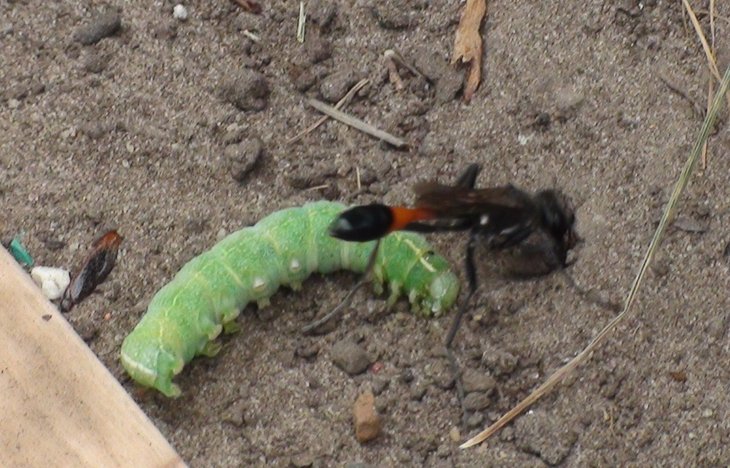 DSC05623.jpg