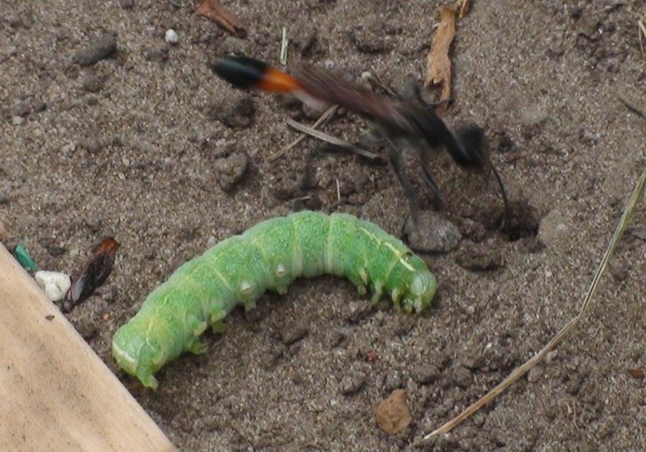 DSC05622.jpg