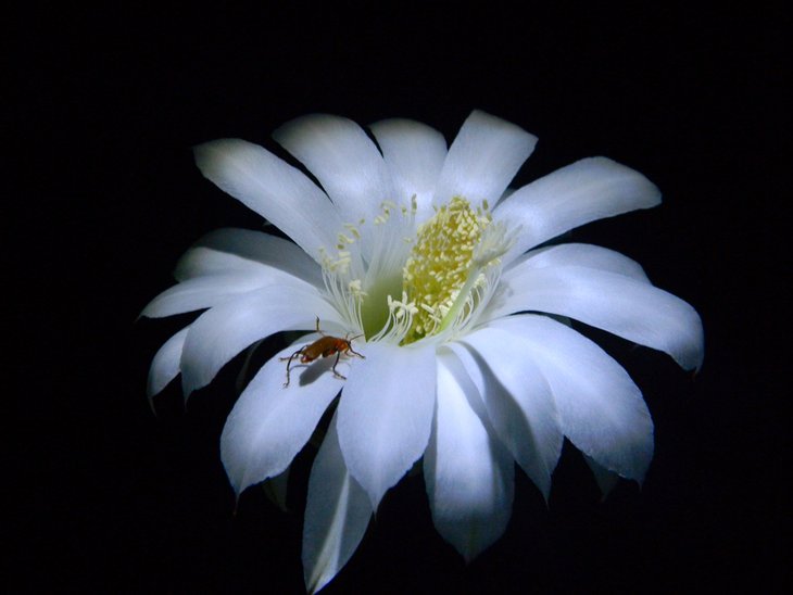 DSCN1723.JPG