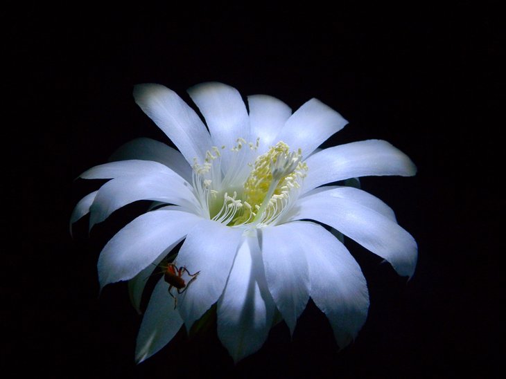 DSCN1724.JPG