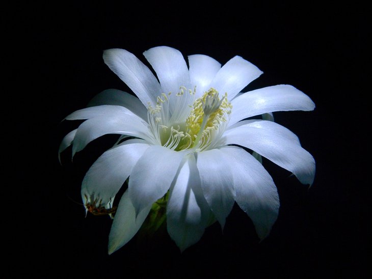 DSCN1725.JPG