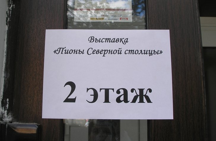 Объявление.JPG