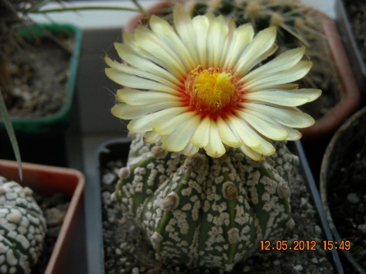 DSCN0093.JPG