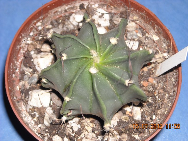DSCN0218.JPG