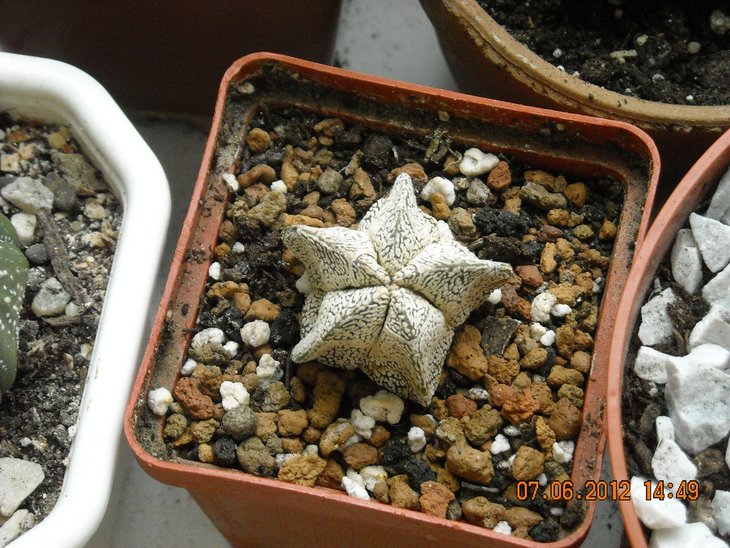 DSCN0177.JPG