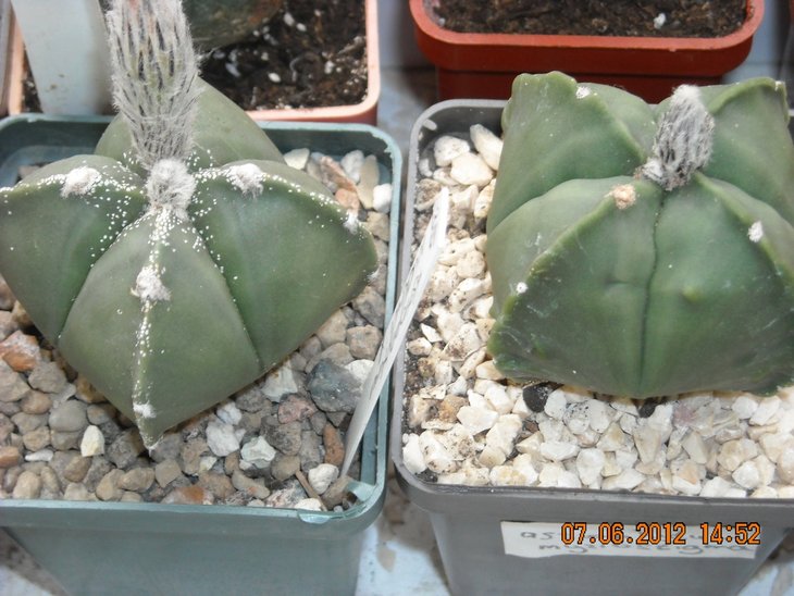 DSCN0178.JPG