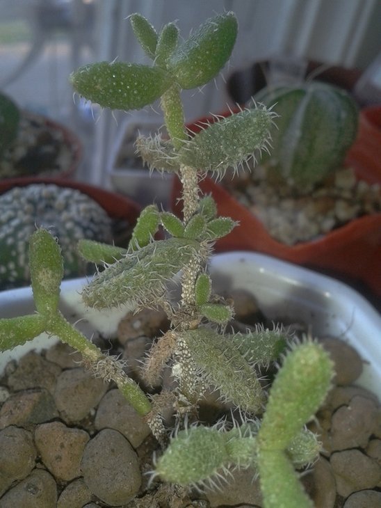 2012-07-27 19.48.25.jpg