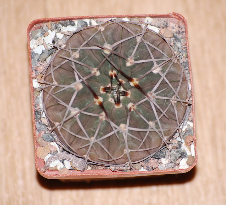 DSC_1141.jpg