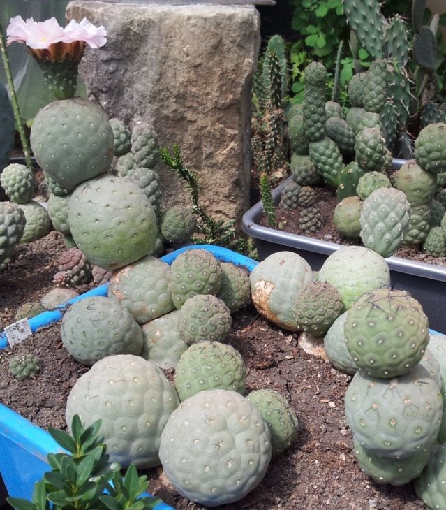 2012-08-01 12.29.23.jpg