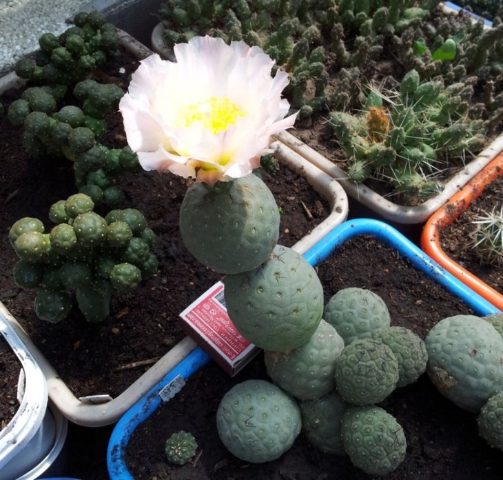 2012-08-02 11.59.43.jpg