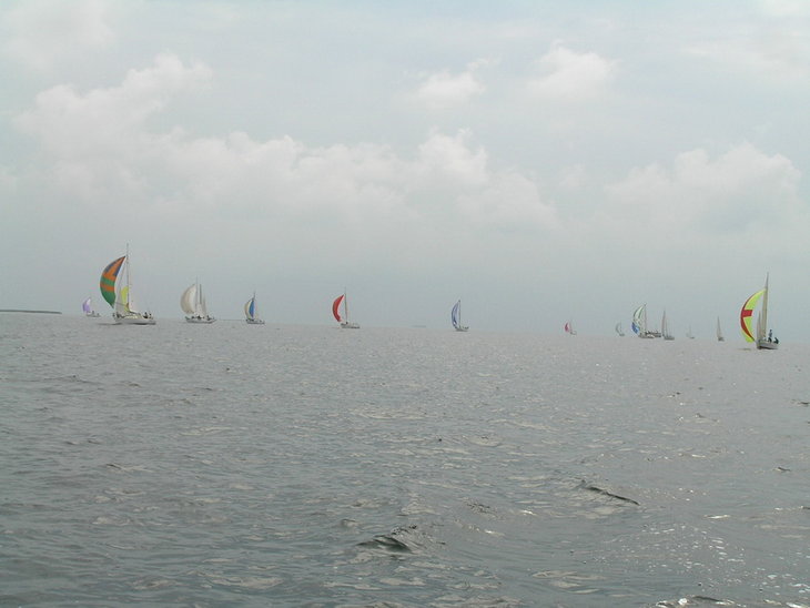 P6152224_.jpg