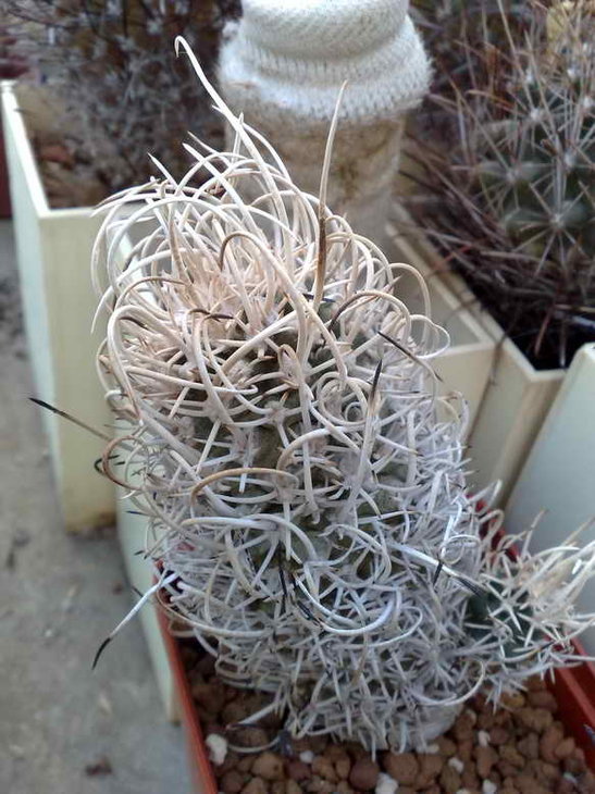 23092012897.jpg