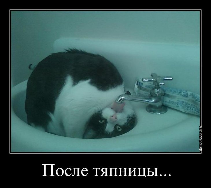 obtscw6h07tl.jpg