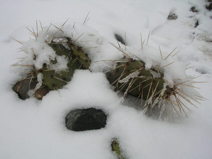 2DSCN9159.JPG