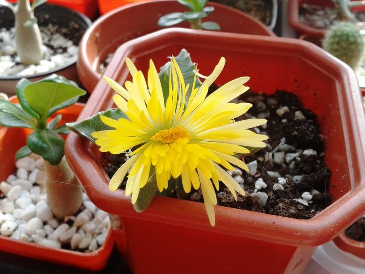 20130424_170224.jpg