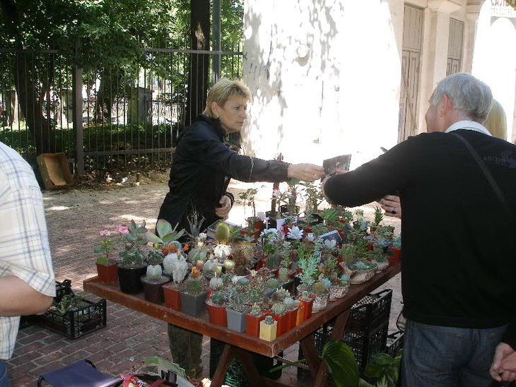 P1018879.JPG