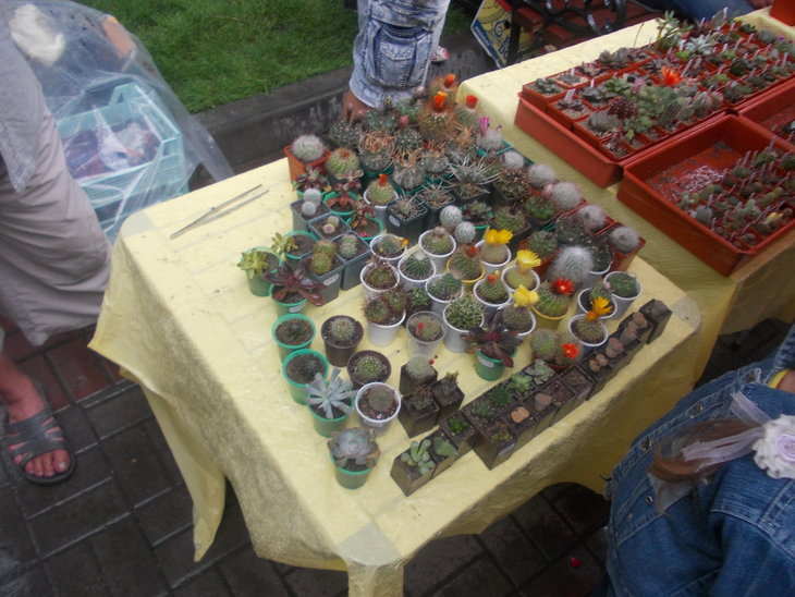 DSCN1758.JPG